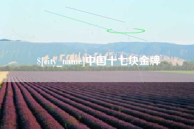 阿克苏中国十七块金牌