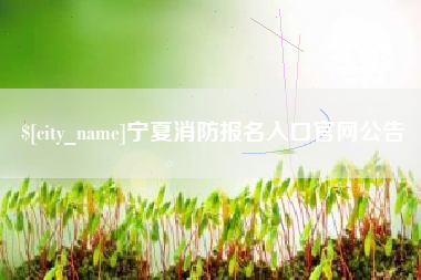 阿克苏宁夏消防报名入口官网公告
