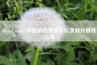 阿克苏中国消防救援学院录取分数线公布