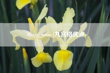 阿克苏九宫格优点