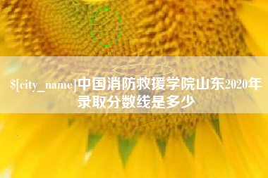 阿克苏中国消防救援学院山东2020年录取分数线是多少