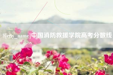 阿克苏中国消防救援学院高考分数线