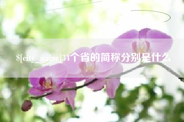 阿克苏34个省的简称分别是什么