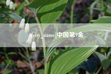 阿克苏中国第9金