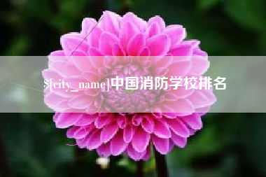 阿克苏中国消防学校排名