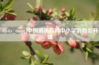 阿克苏中国消防官网中小学消防公开课