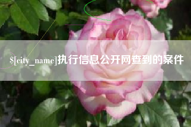 阿克苏执行信息公开网查到的案件