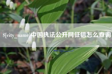 阿克苏中国执法公开网征信怎么查询