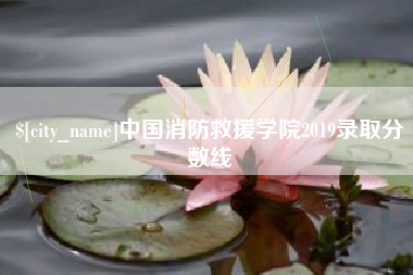 阿克苏中国消防救援学院2019录取分数线