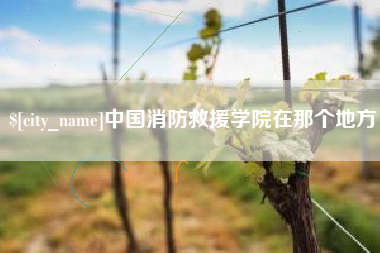 阿克苏中国消防救援学院在那个地方