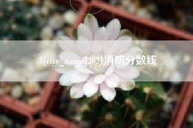 阿克苏2021消防分数线