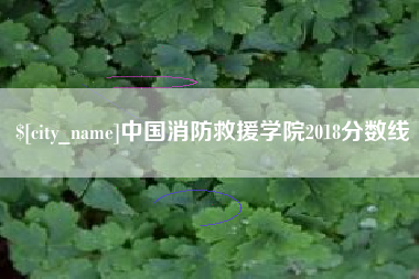 阿克苏中国消防救援学院2018分数线