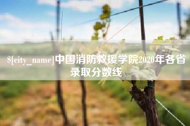 阿克苏中国消防救援学院2020年各省录取分数线