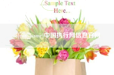 阿克苏中国执行网信息官网