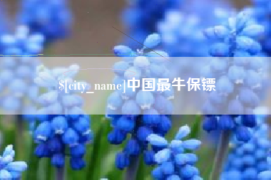 阿克苏中国最牛保镖