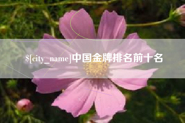 阿克苏中国金牌排名前十名