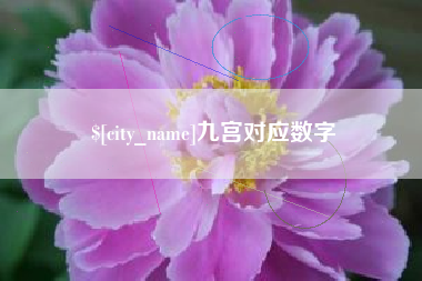阿克苏九宫对应数字