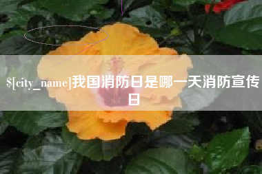 阿克苏我国消防日是哪一天消防宣传日