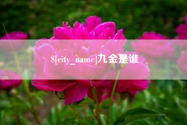 阿克苏九金是谁