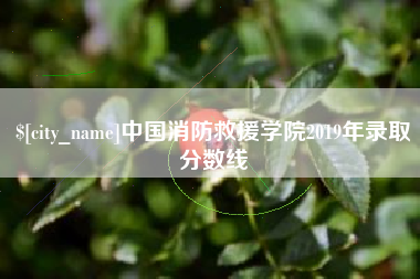 阿克苏中国消防救援学院2019年录取分数线
