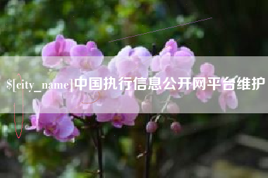 阿克苏中国执行信息公开网平台维护
