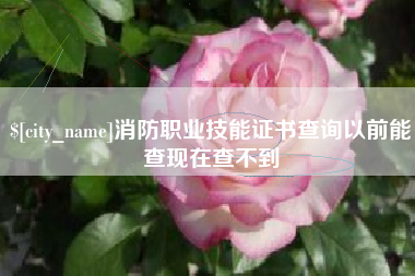 阿克苏消防职业技能证书查询以前能查现在查不到