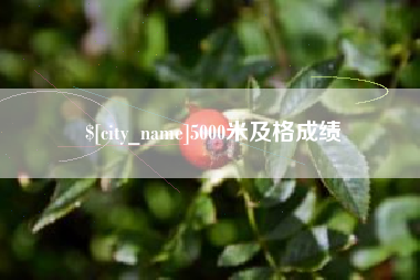 阿克苏5000米及格成绩