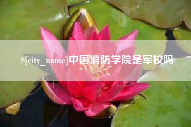 阿克苏中国消防学院是军校吗
