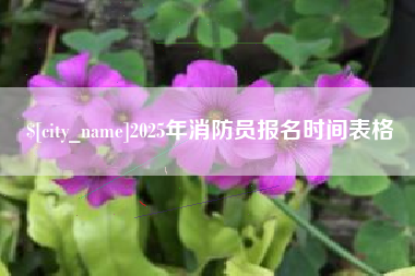 阿克苏2025年消防员报名时间表格