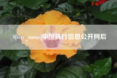 阿克苏中国执行信息公开网后