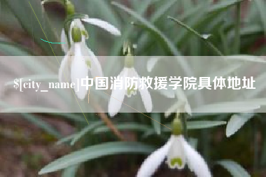 阿克苏中国消防救援学院具体地址