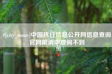 阿克苏中国执行信息公开网信息查询官网限消中查询不到