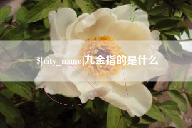 阿克苏九金指的是什么