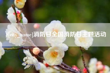 阿克苏消防日全国消防日主题活动