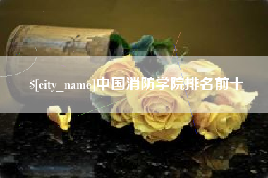 阿克苏中国消防学院排名前十