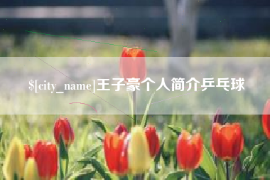 阿克苏王子豪个人简介乒乓球