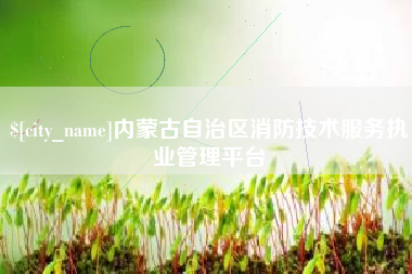阿克苏内蒙古自治区消防技术服务执业管理平台