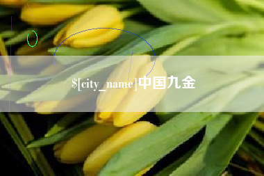 阿克苏中国九金