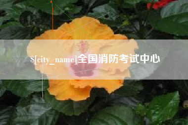 阿克苏全国消防考试中心