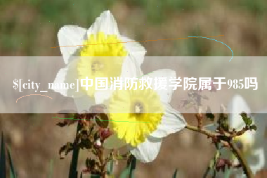 阿克苏中国消防救援学院属于985吗