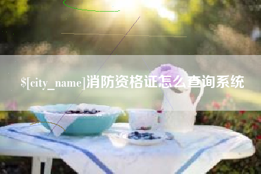 阿克苏消防资格证怎么查询系统