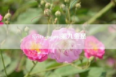 阿克苏第九金是