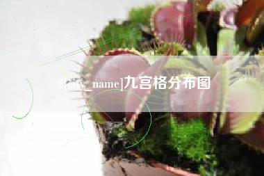 阿克苏九宫格分布图