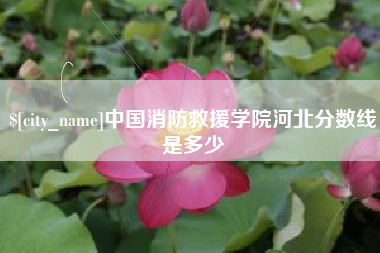 阿克苏中国消防救援学院河北分数线是多少