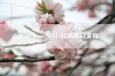 阿克苏11月9日消防日全称