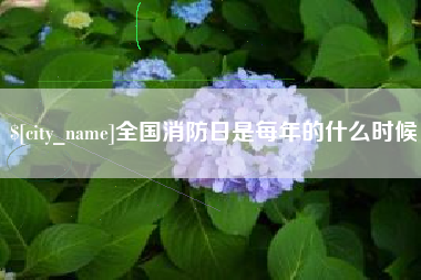 阿克苏全国消防日是每年的什么时候