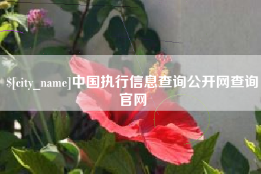 阿克苏中国执行信息查询公开网查询官网