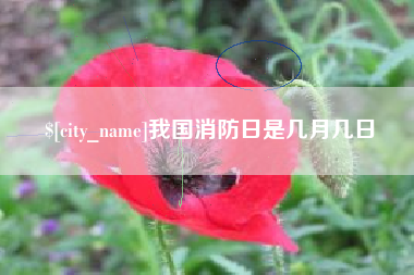阿克苏我国消防日是几月几日