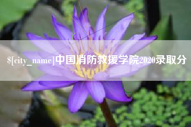 阿克苏中国消防救援学院2020录取分