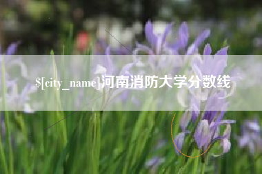 阿克苏河南消防大学分数线